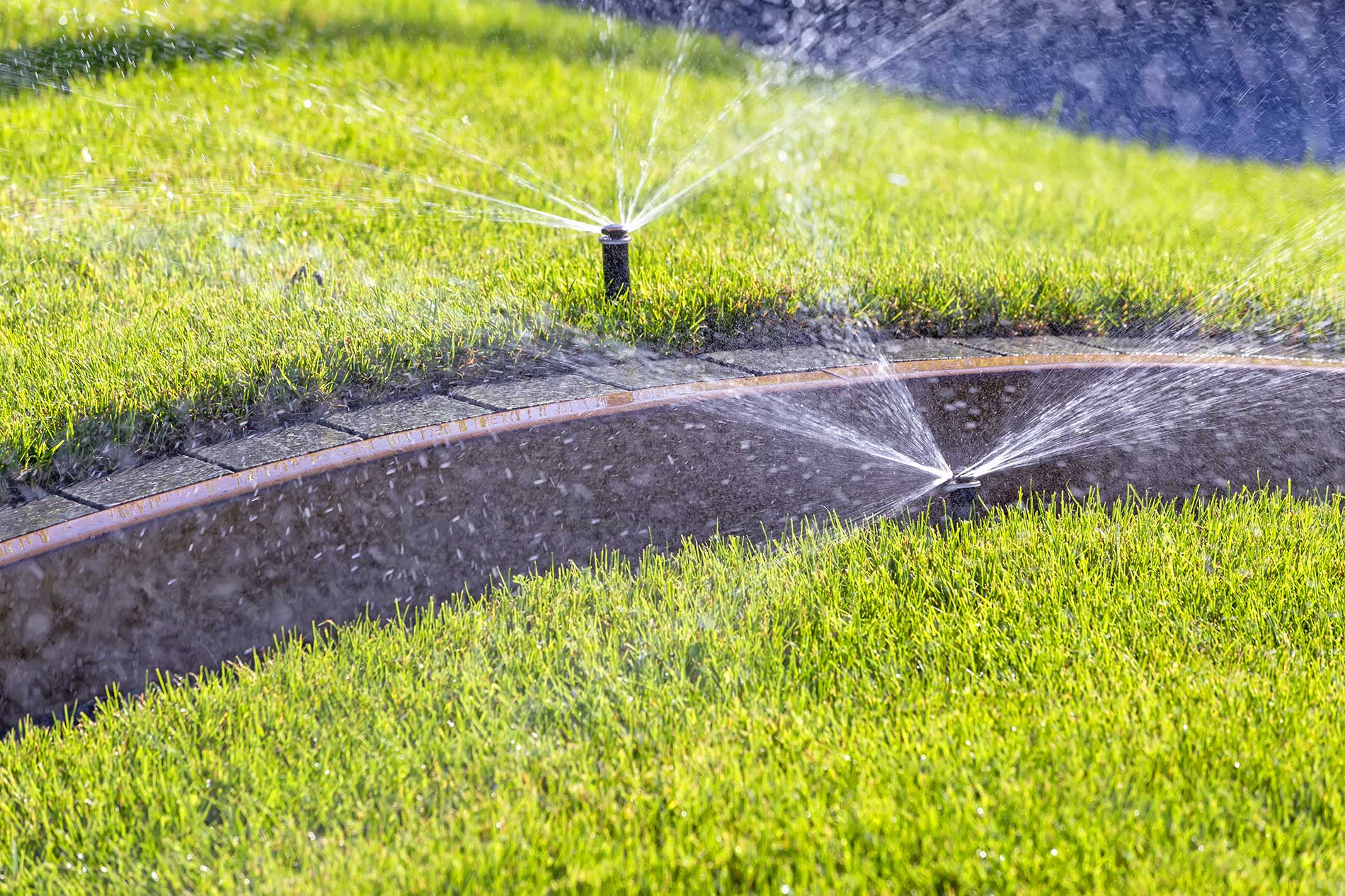 featuredimage-Are-Irrigation-Systems-Easy-to-Install