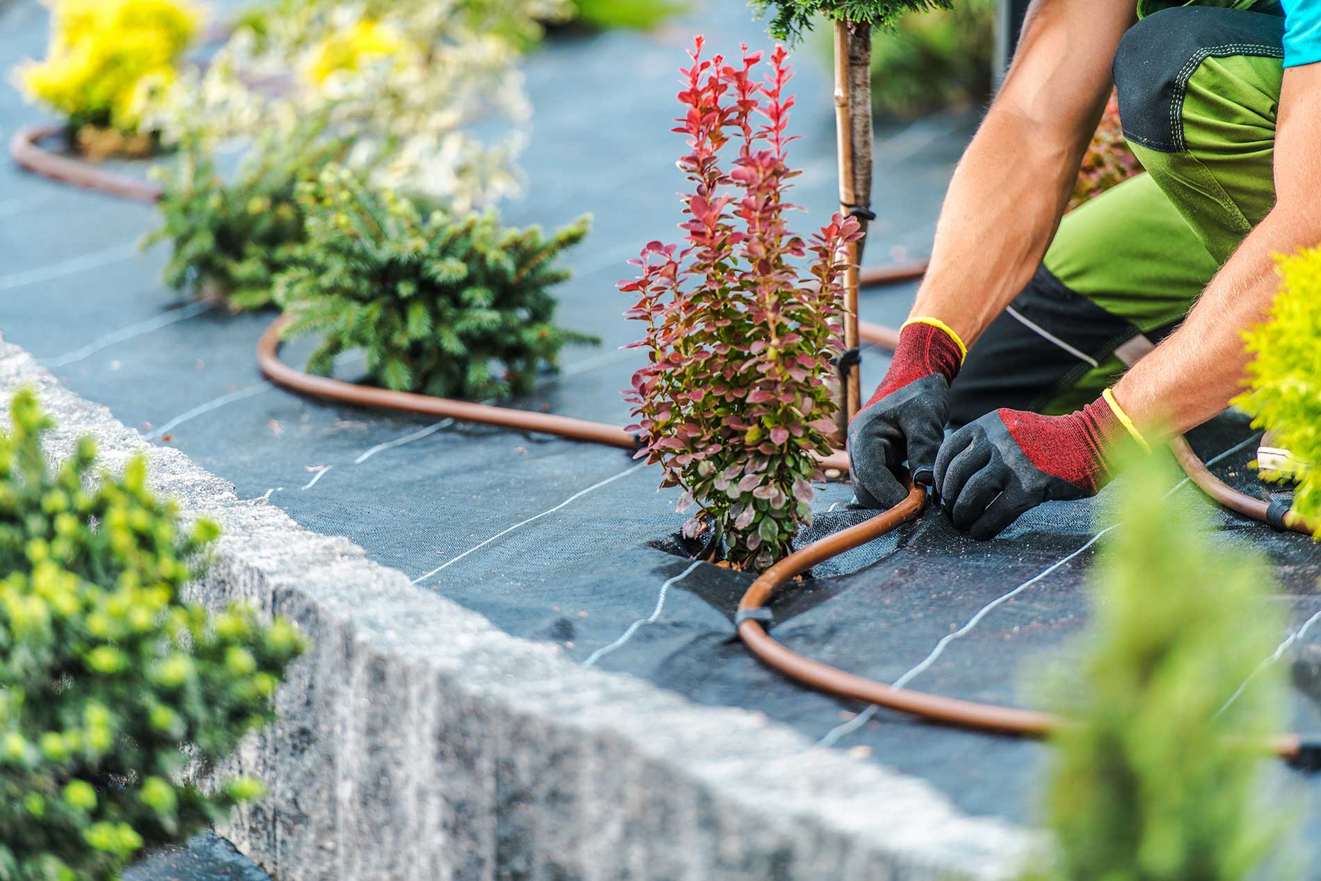 featuredimage-Certified-Irrigation-Technicians-in-Penticton-BC