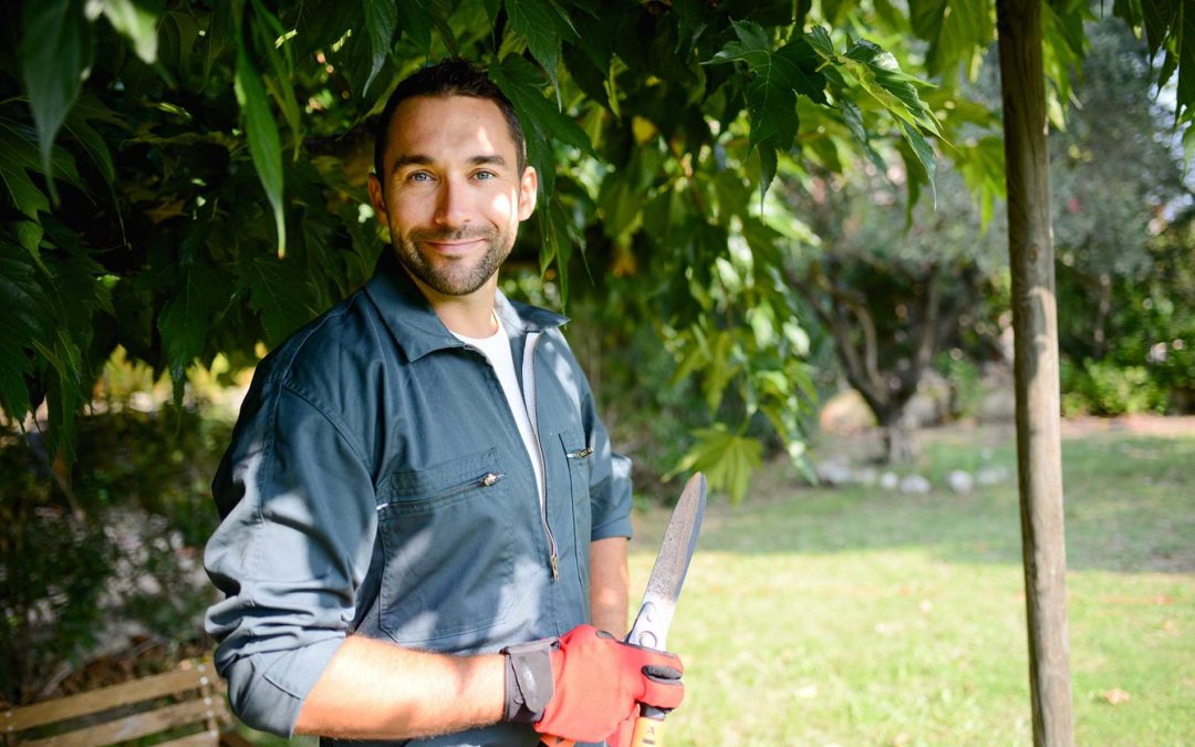 Emerald Irrigation & Landscape Construction’s Blog Roundup