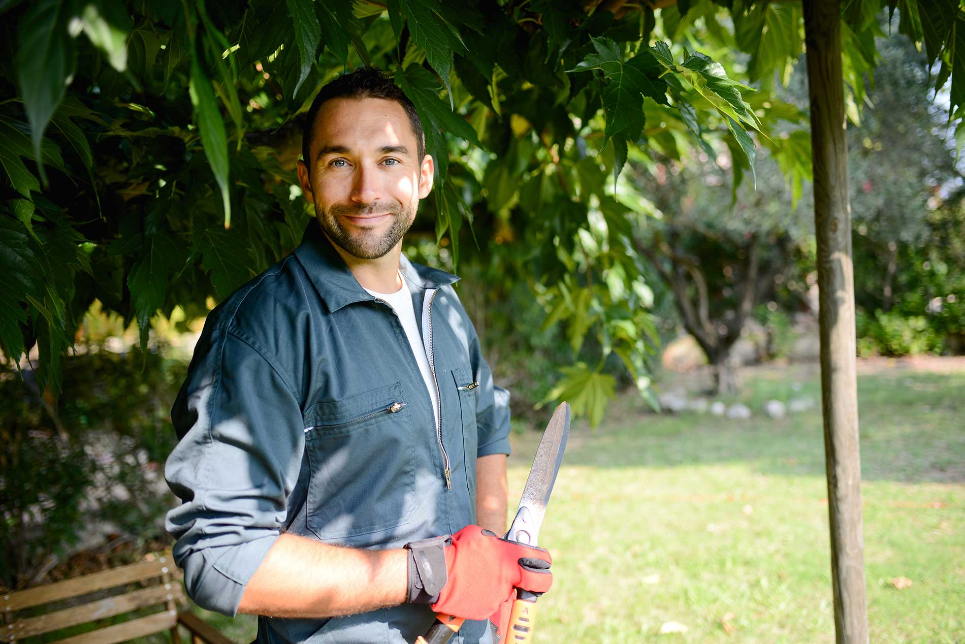 featuredimage-Emerald-Irrigation-&-Landscape-Construction’s-Blog-Roundup