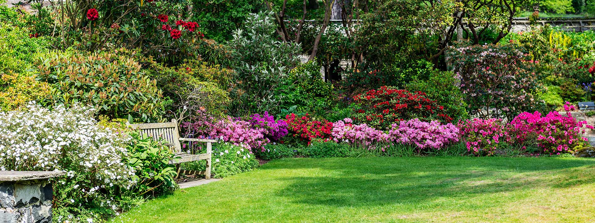 featuredimage-Everything-you-should-know-about-soft-landscaping