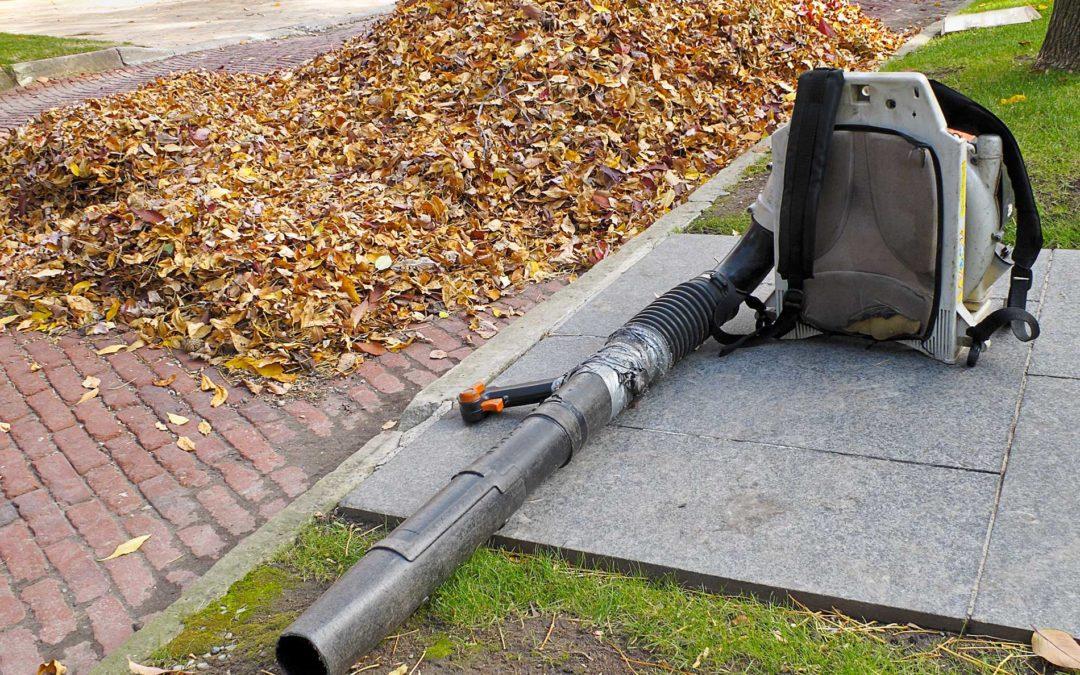 Fall Landscape Maintenance Services