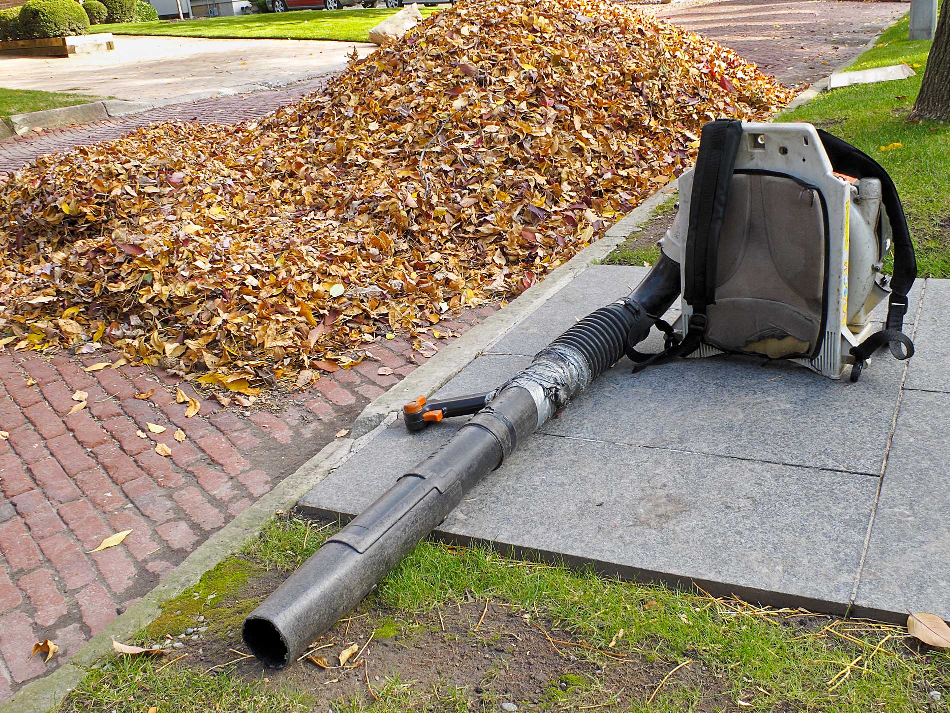 featuredimage-Fall-Landscape-Maintenance-Services