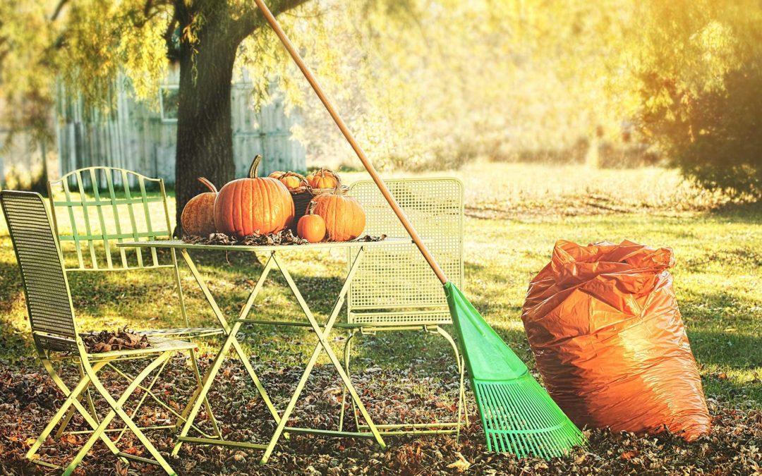 Get your garden ready for winter