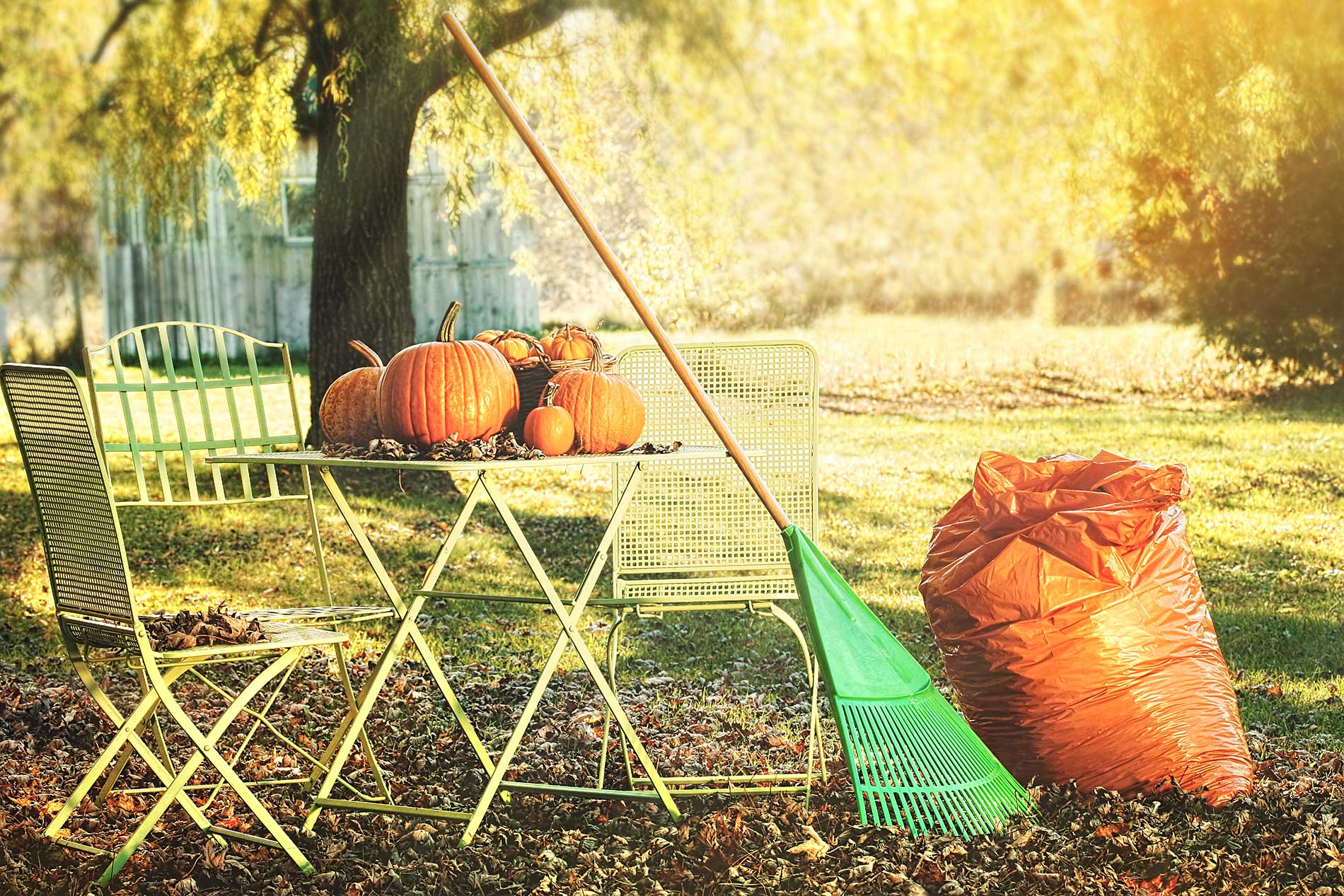 featuredimage-Get-your-garden-ready-for-winter