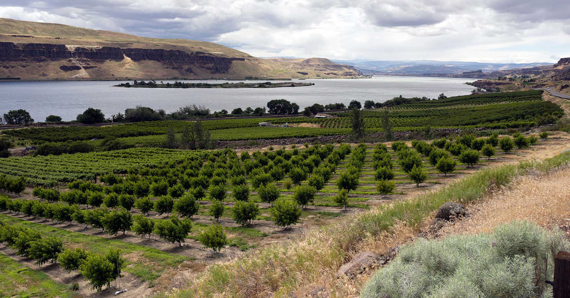 featuredimage-Irrigation-Systems-for-Water-Conservation