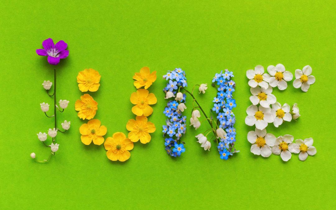 June Gardening and Landscaping Tips