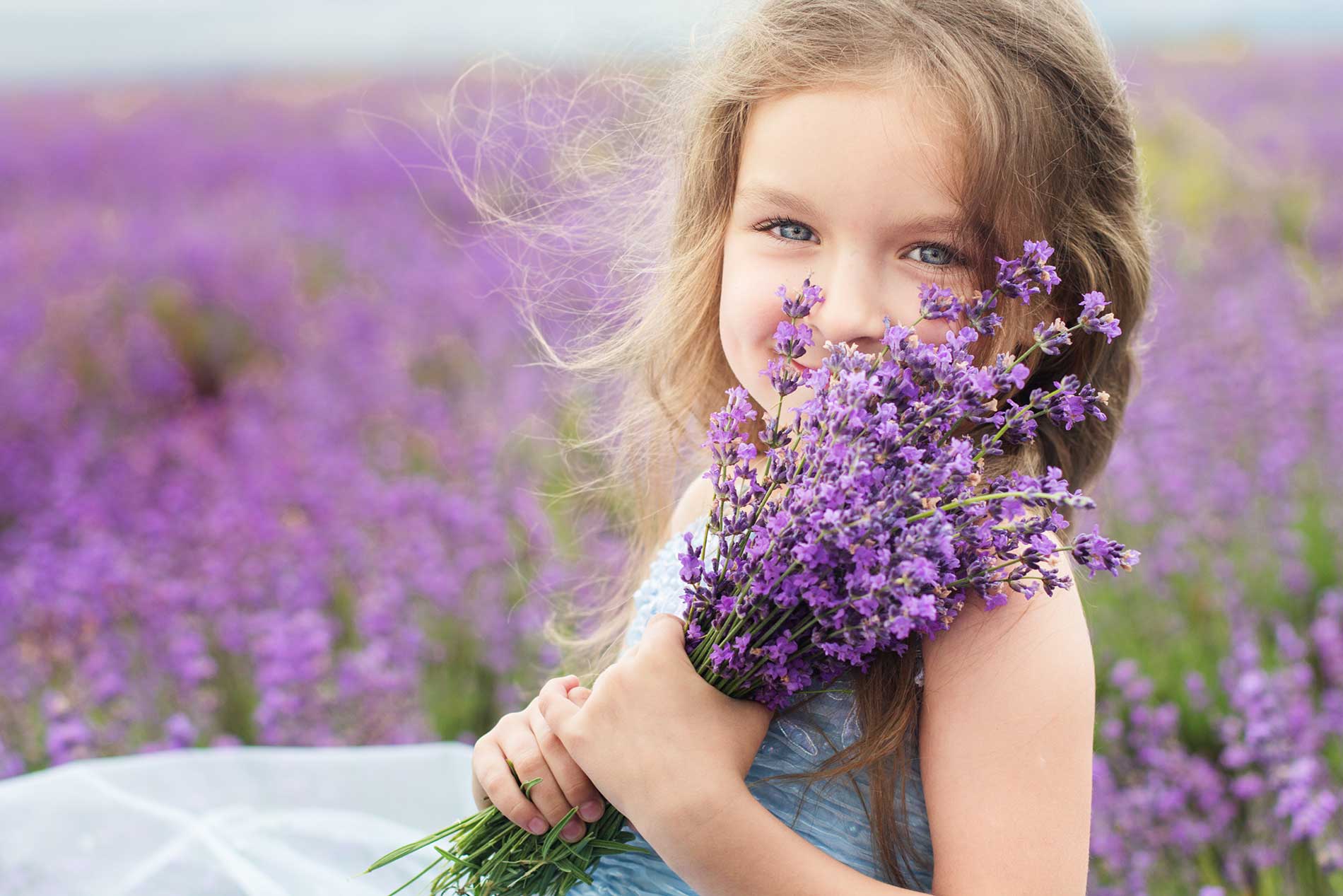 featuredimage-Planting-Lavender-in-Your-Okanagan-Garden