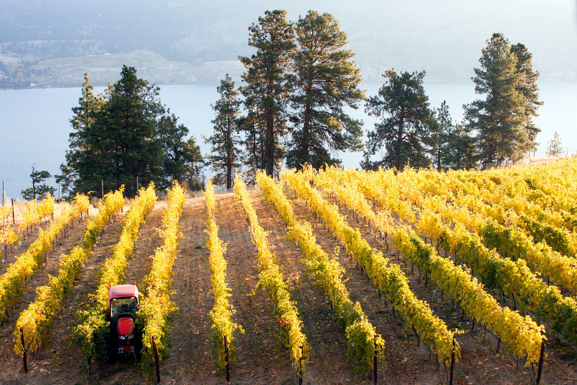 featuredimage-Preparing-Your-Irrigation-System-for-Winter