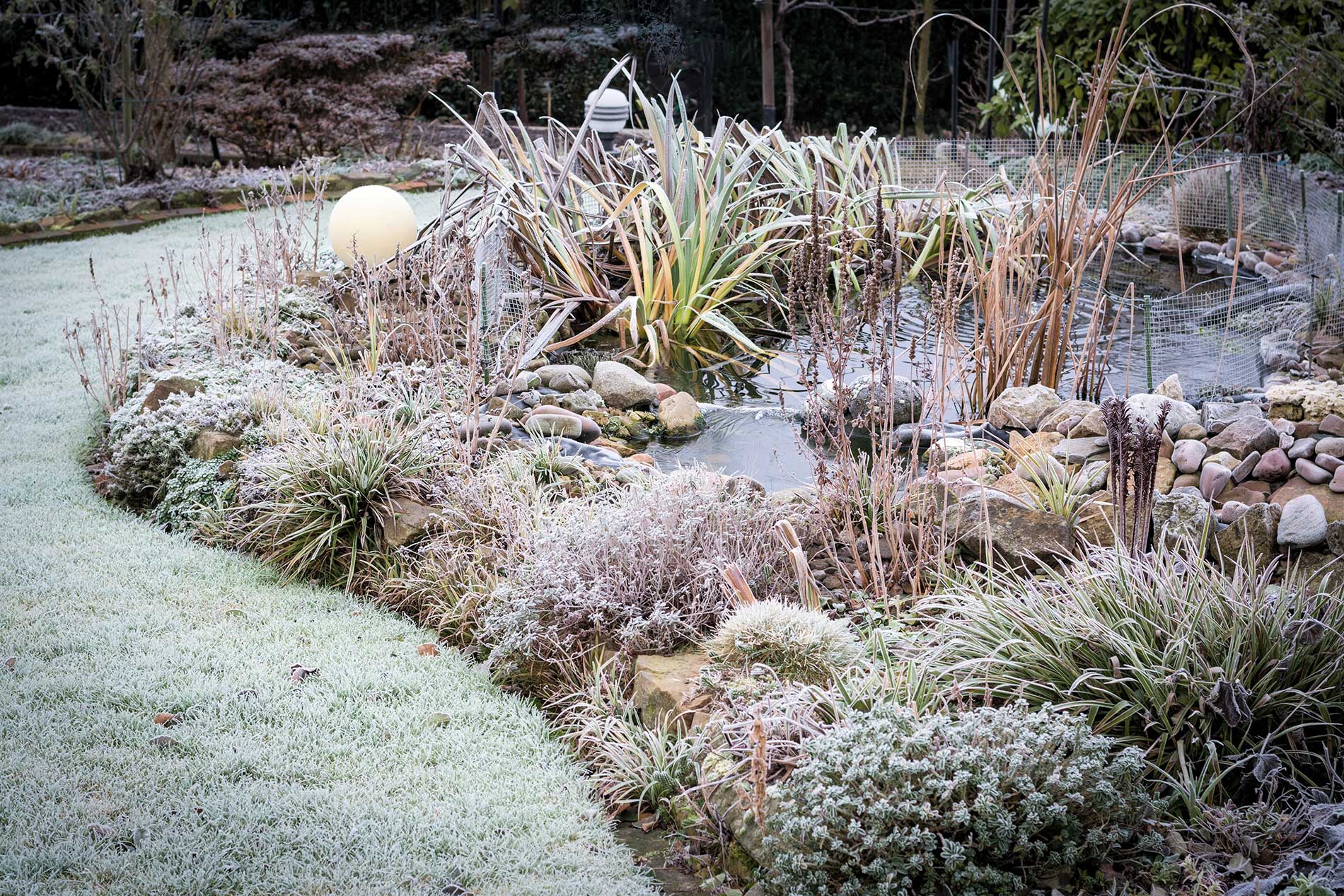 featuredimage-Preparing-your-pond-for-a-cold-winter