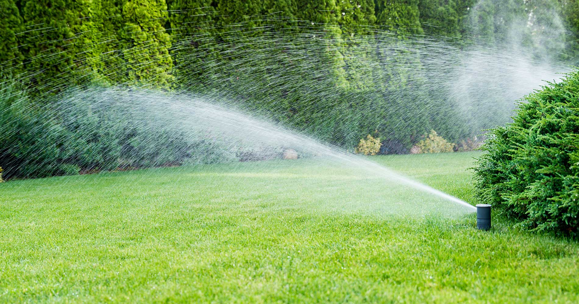 featuredimage-Reliable-Irrigation-Systems