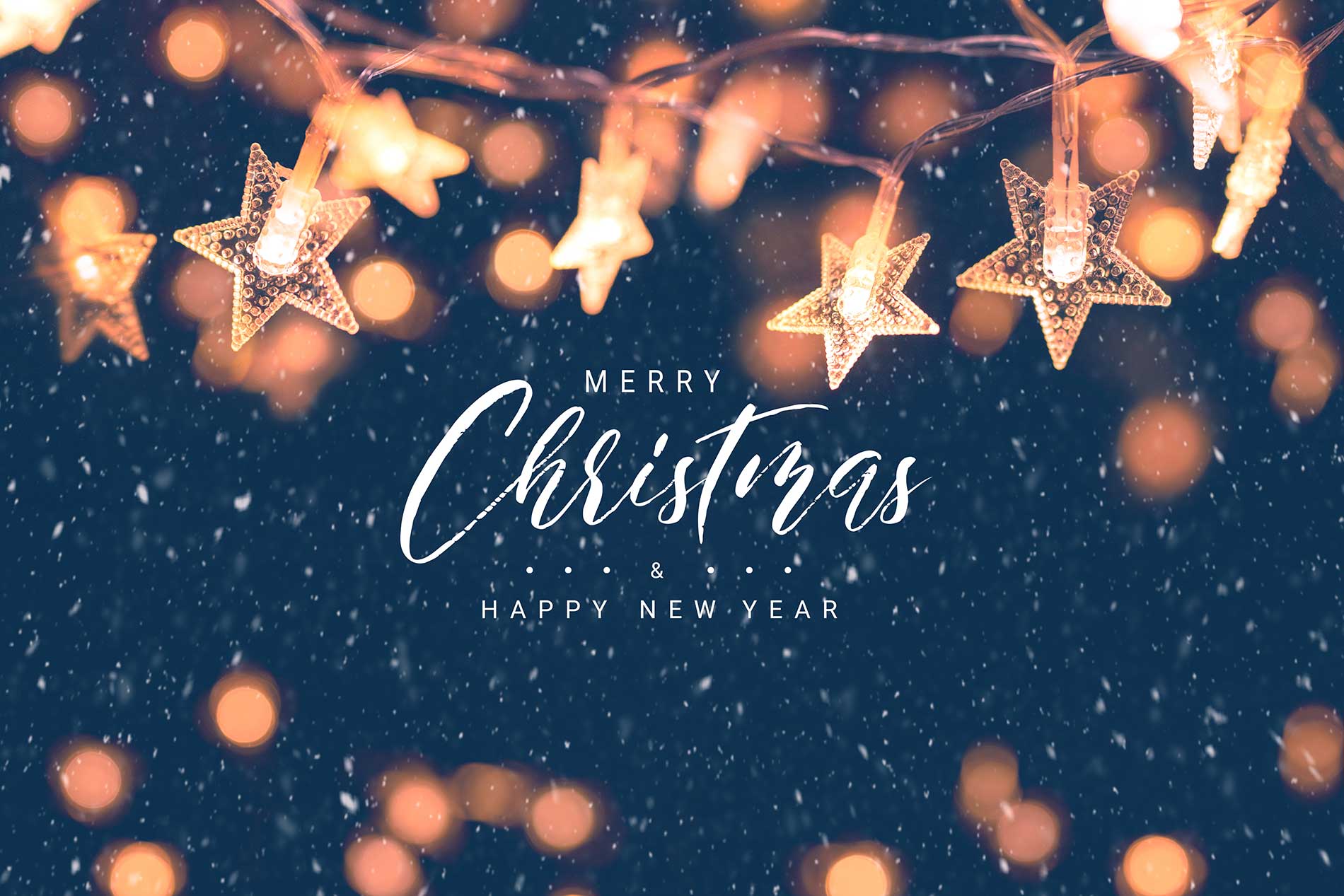 seasons greetings from the team