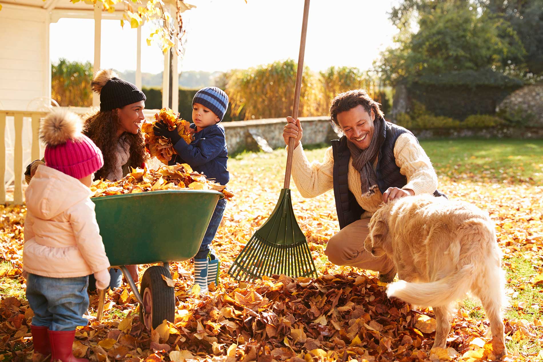 featuredimage-Should-I-rake-the-leaves-off-my-lawn