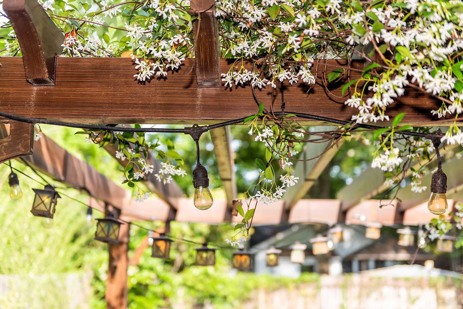 featuredimage-Thinking-about-a-pergola-for-2022