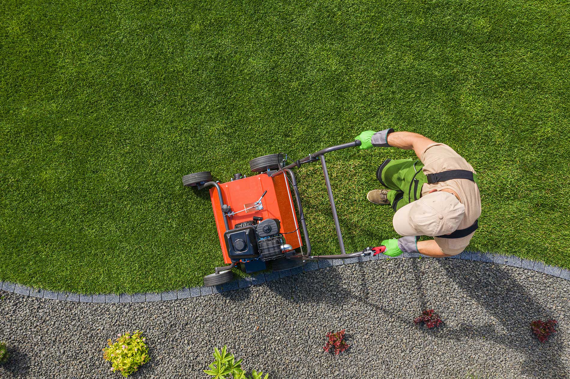 featuredimage Tips for Revitalizing Your Lawn Year Round