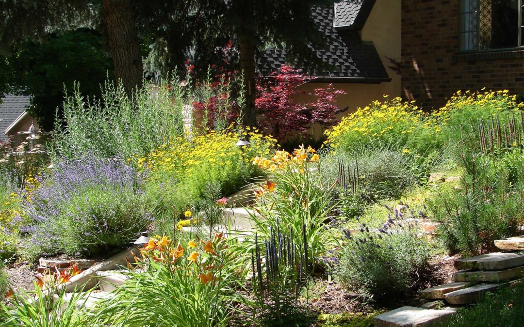 Top Landscaping Trends for 2025 to Elevate Your Outdoor Space