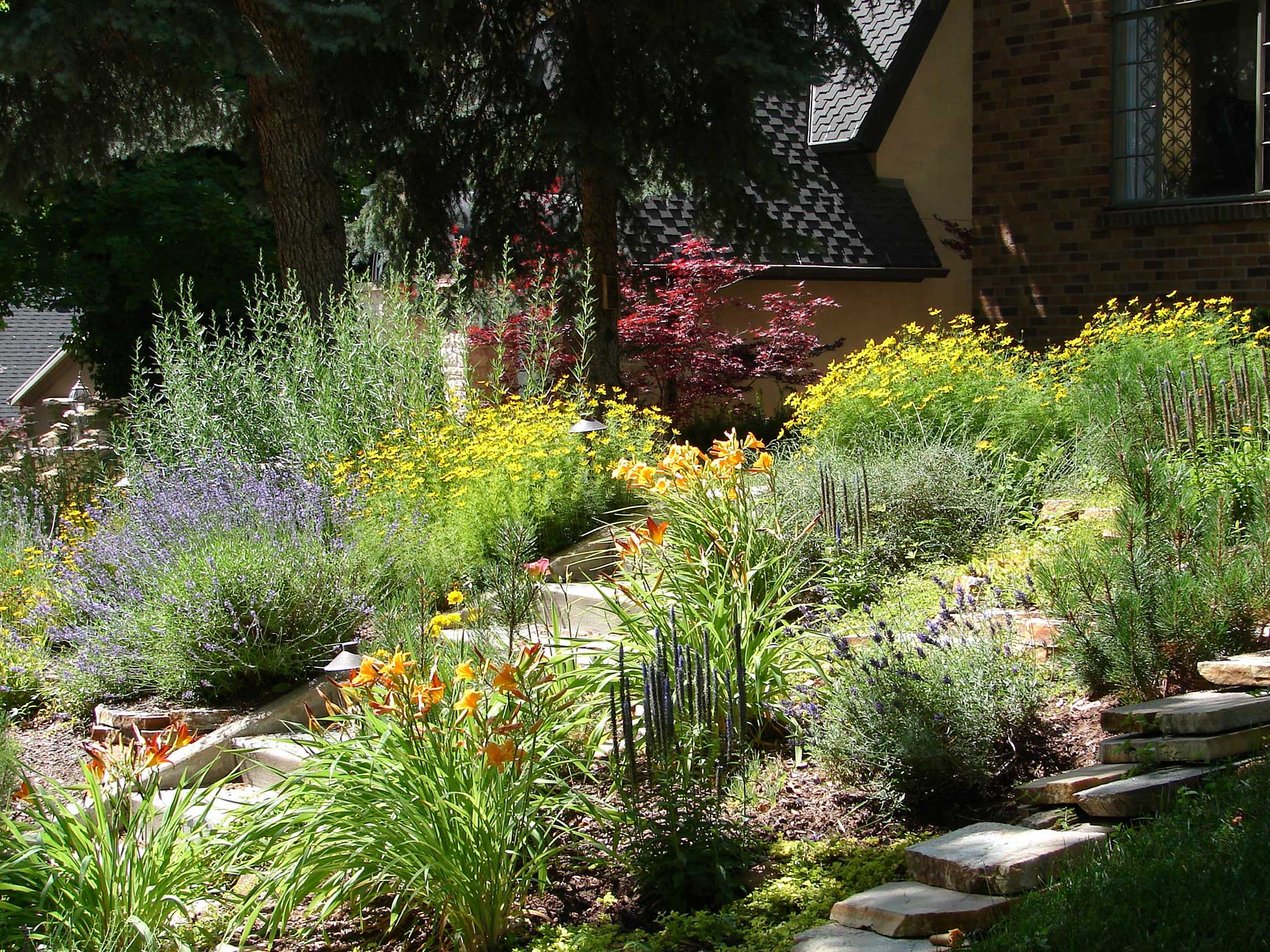 featuredimage-Top Landscaping Trends for 2025 to Elevate Your Outdoor Space