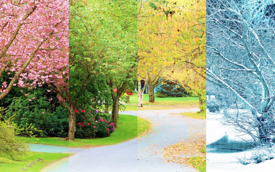 Transform Your Outdoor Space This Winter