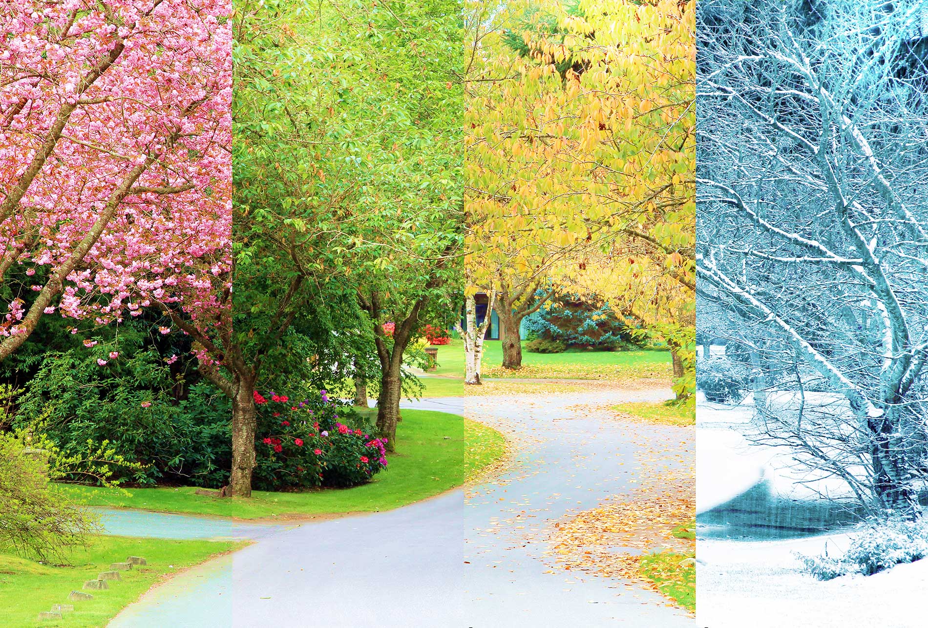 featuredimage-Transform Your Outdoor Space This Winter