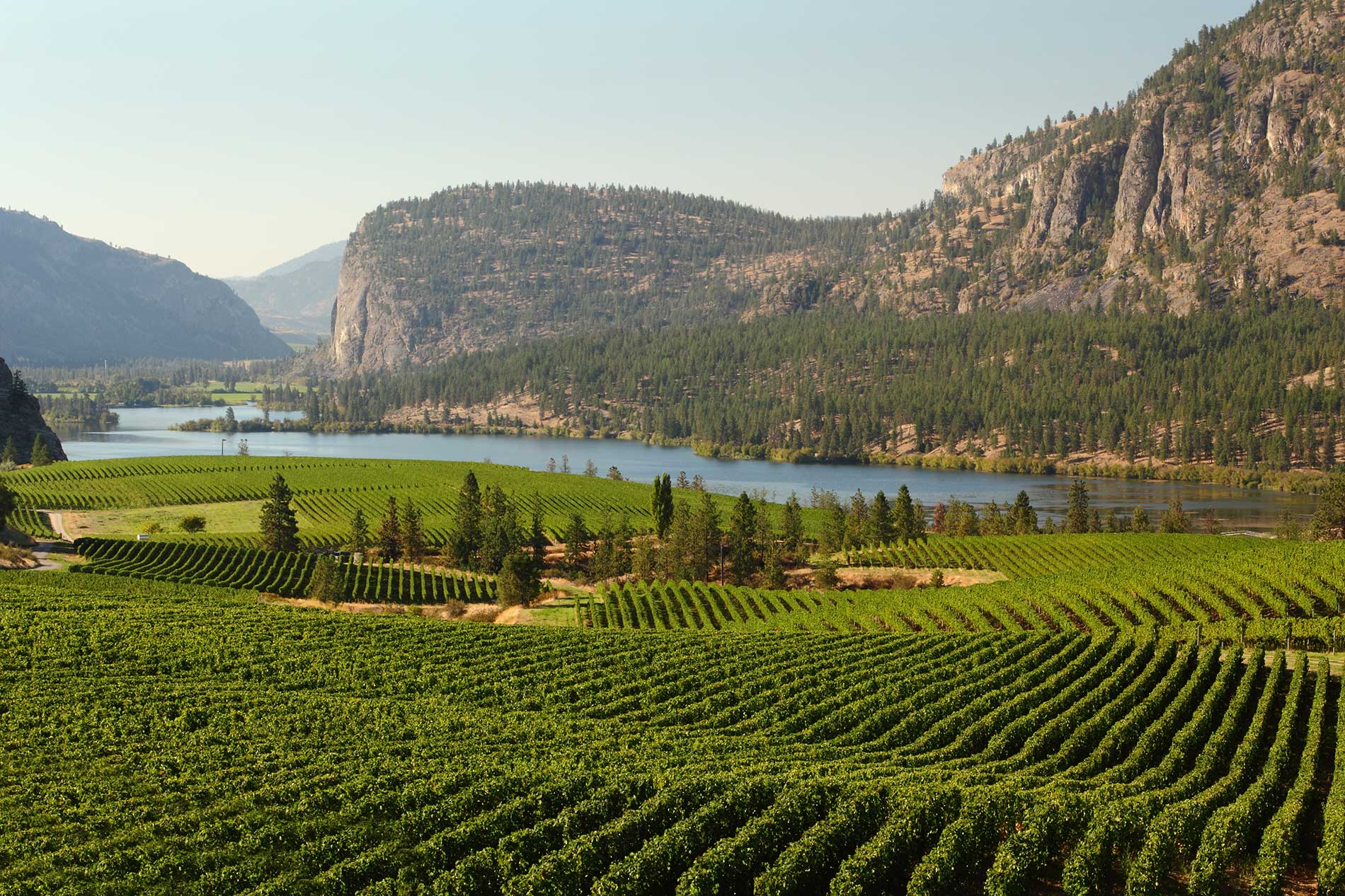 featuredimage-Water-Conservation-Methods-in-the-Okanagan-Valley