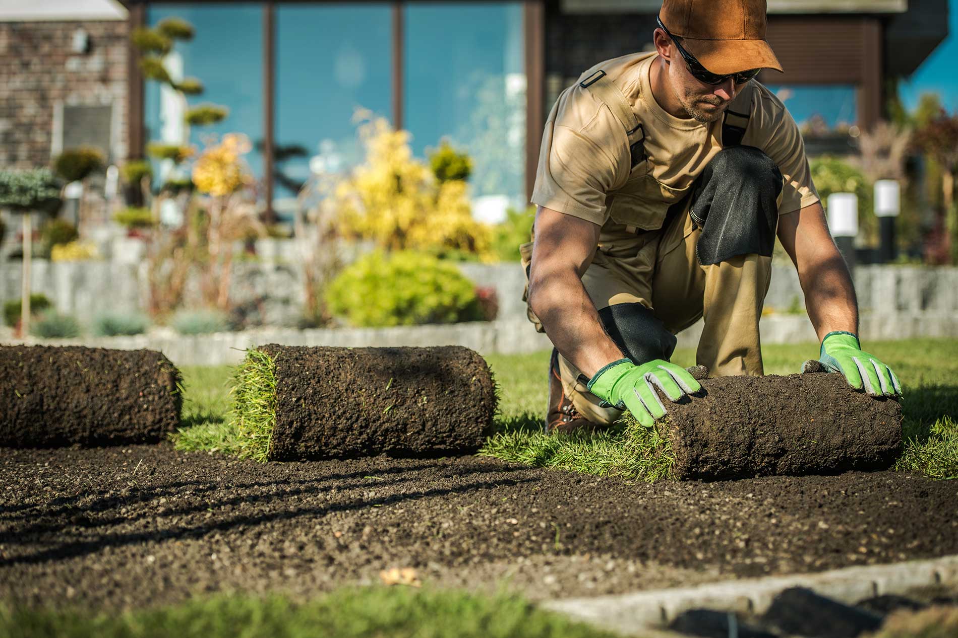 featuredimage-What-should-you-know-about-lawn-installation-and-seeding