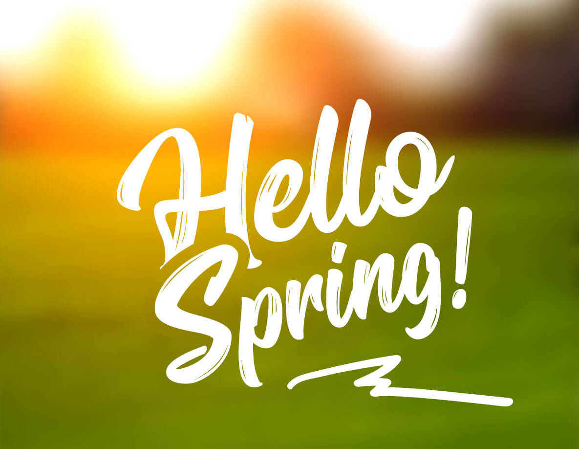 hello spring