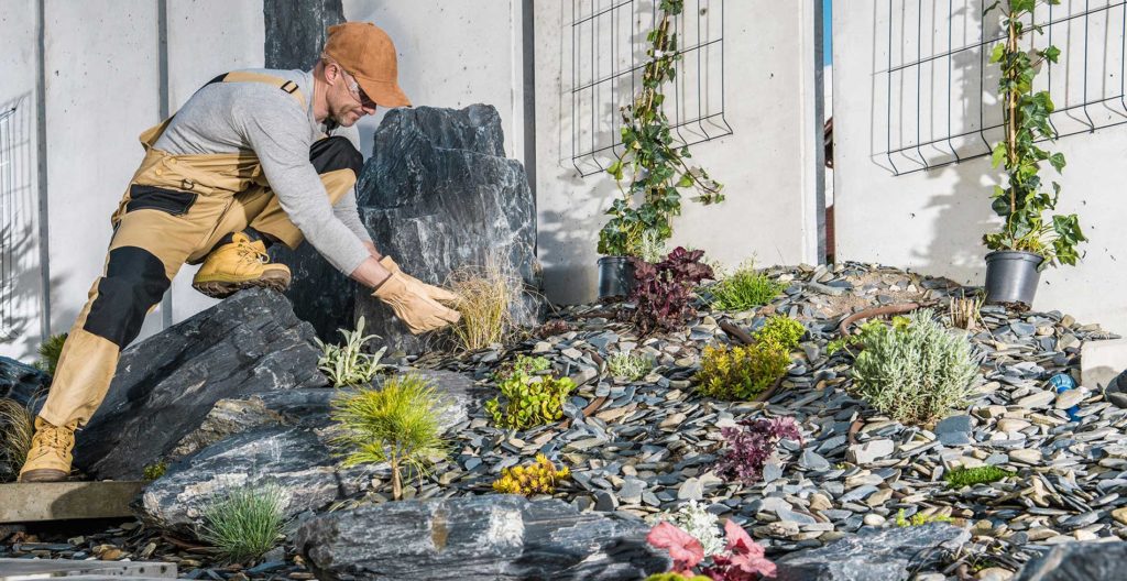landscaping-tips-and-how-to-remove-plants landscaping tips and how to remove plants